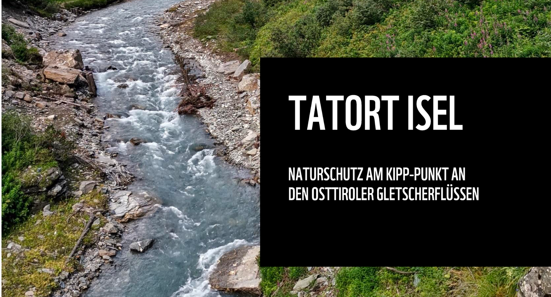 Neuer Report des WWF zur Situation an der Isel